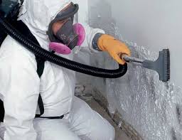 Mold Remediation for Vacation Homes in Twinsburg, OH